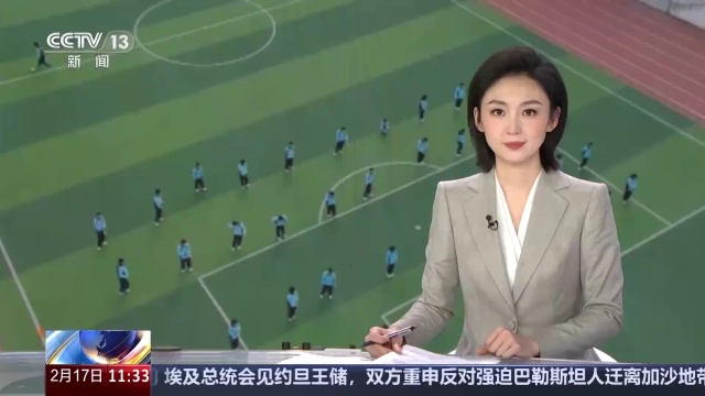 年轻才俊菲