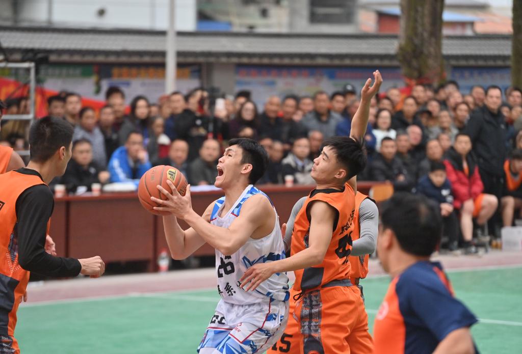 特尔指导后
